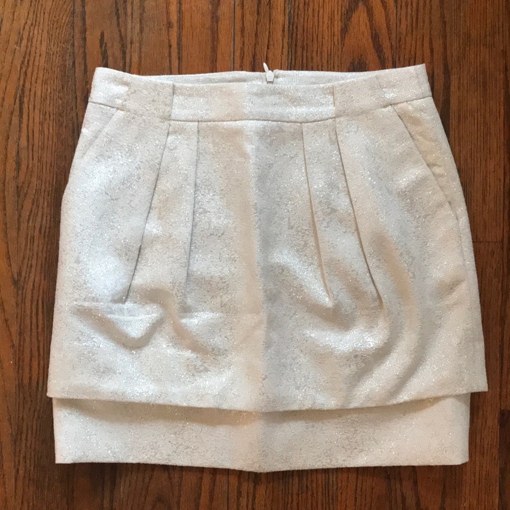Silver Zara skirt